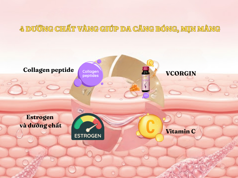 II. Dưỡng chất cần thiết giúp da căng bóng, mịn màng