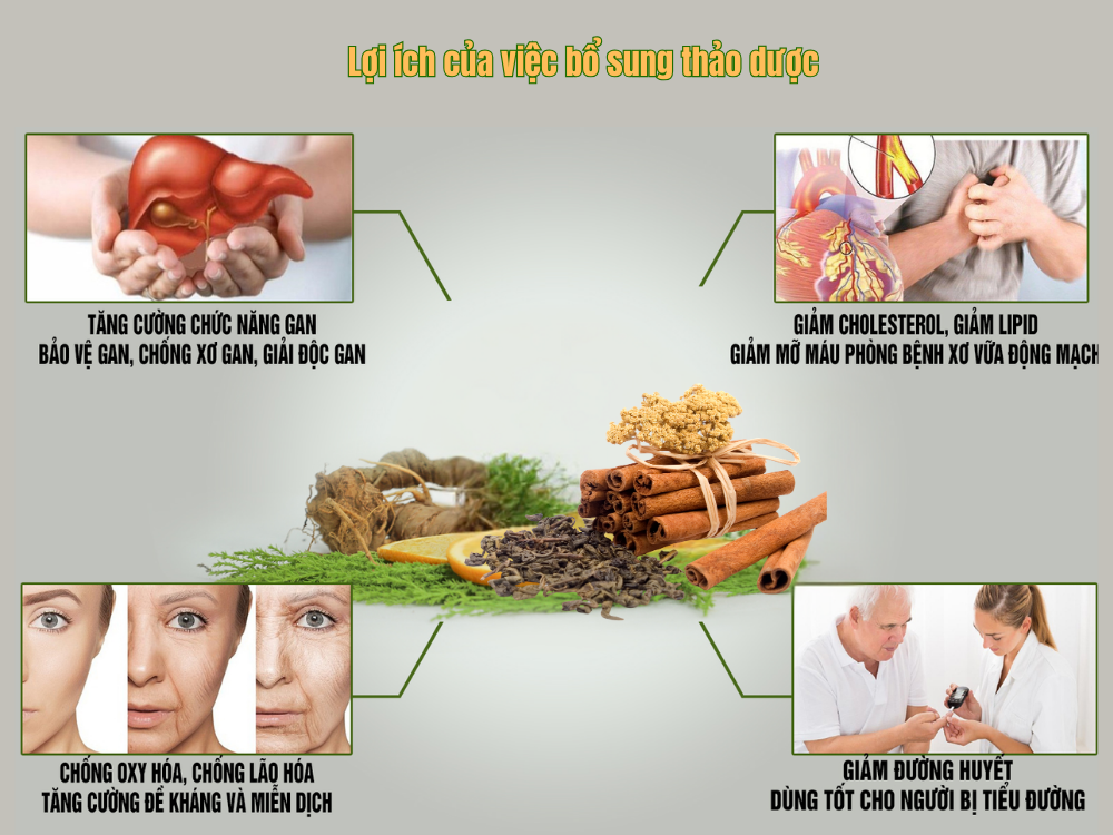 II. Lợi ích của việc bổ sung thảo dược