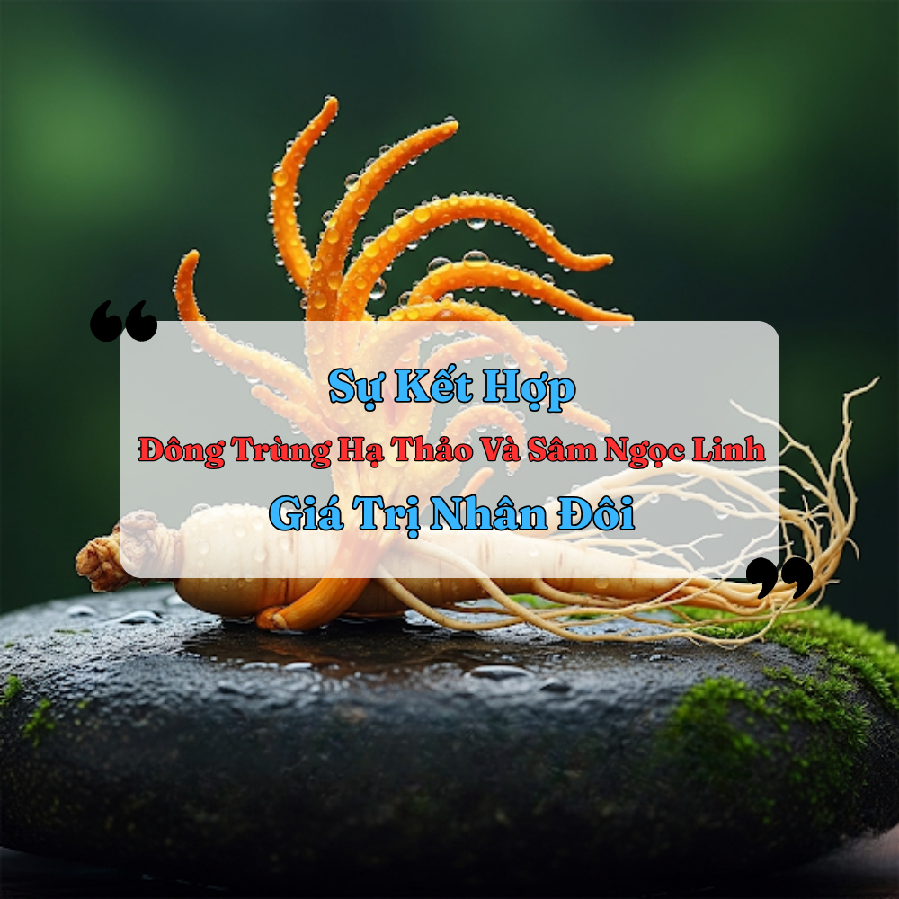 Sự Kết Hợp Đông Trùng Hạ Thảo Và Sâm Ngọc Linh – Giá Trị Nhân Đôi