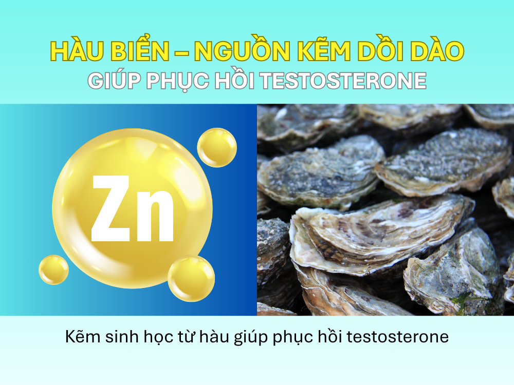 1. Hàu biển – nguồn kẽm dồi dào giúp phục hồi testosterone