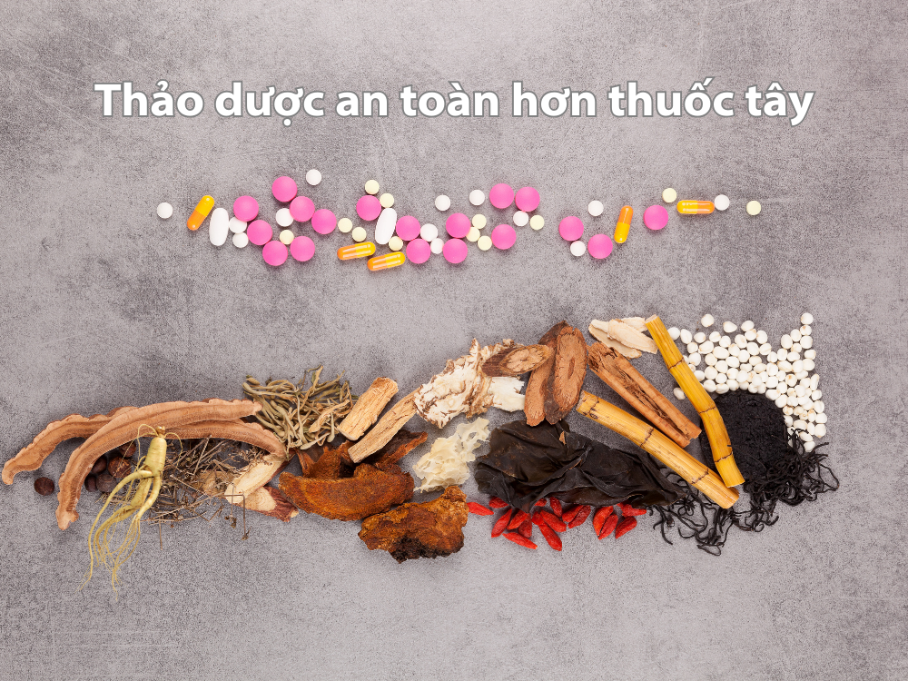 I. Giới thiệu