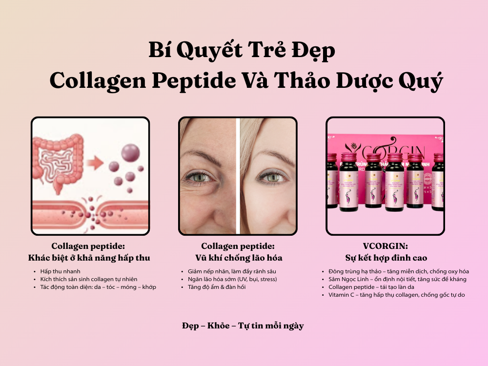 II. Bí Quyết Trẻ Đẹp Từ Collagen Peptide và Thảo Dược Thiên Nhiên