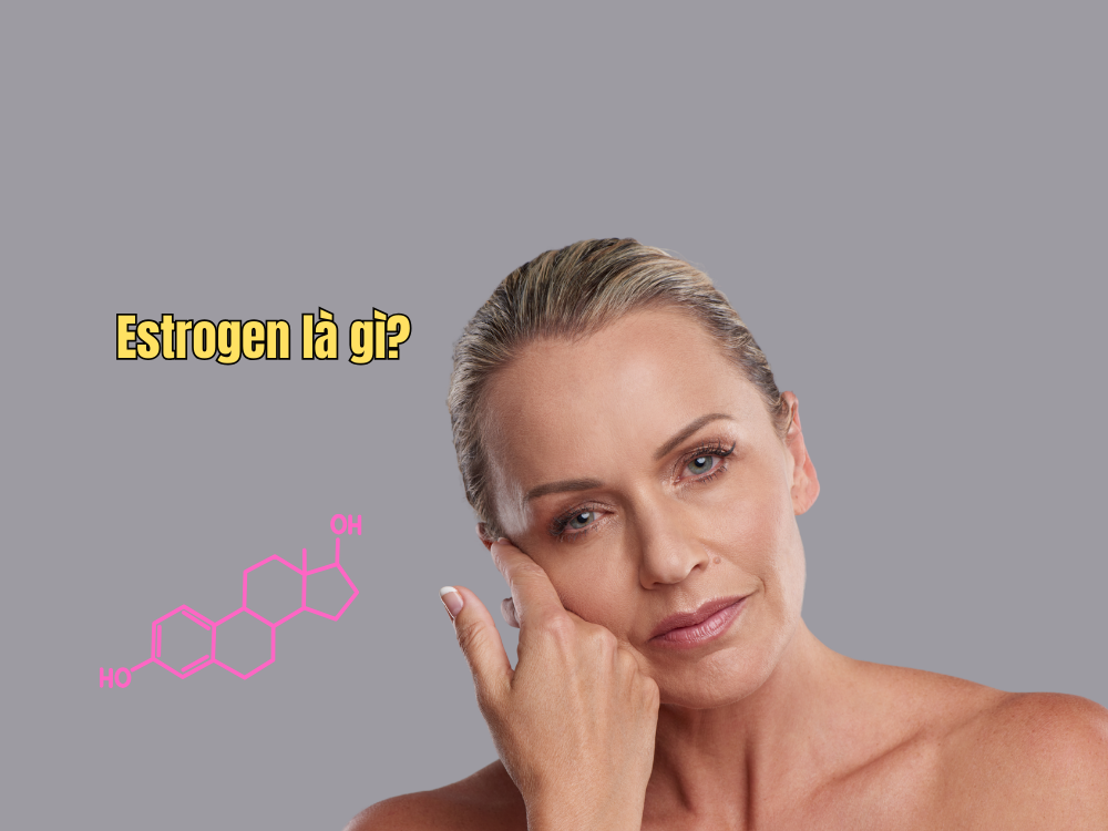 1. Estrogen là gì và vai trò đối với phụ nữ