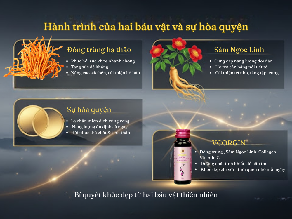 II. Hành trình của hai báu vật và sự hòa quyện