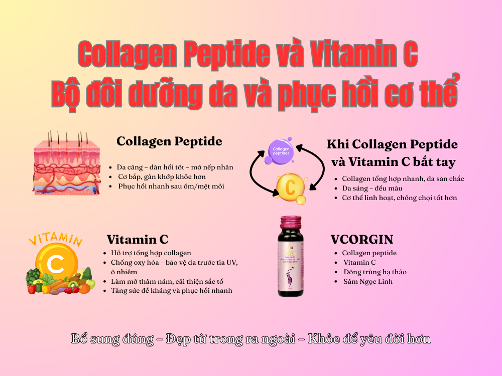 II. Collagen Peptide và Vitamin C – Bộ đôi dưỡng da và phục hồi cơ thể