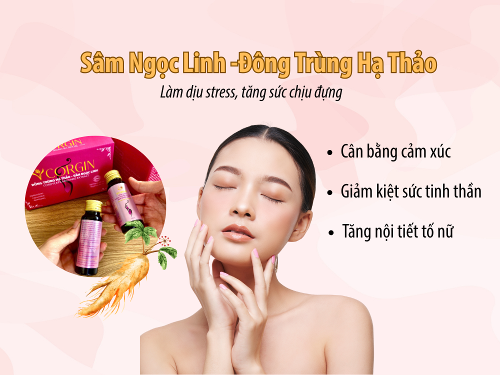 4. Kết luận