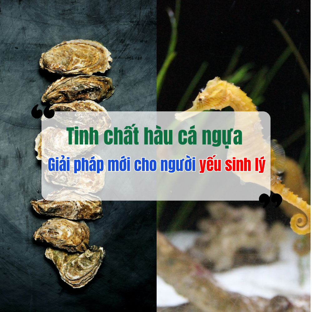 Tinh Chất Hàu và Cá Ngựa - Giải Pháp Mới Cho Người Yếu Sinh Lý