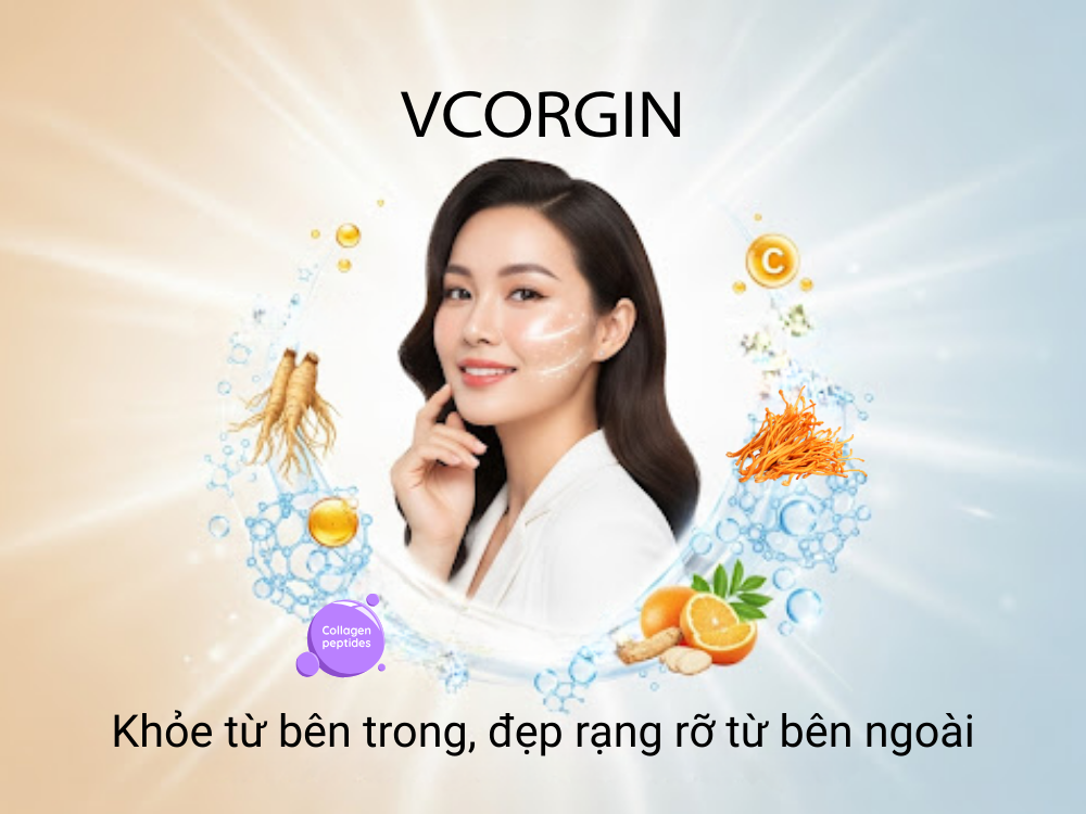 III. Kết luận