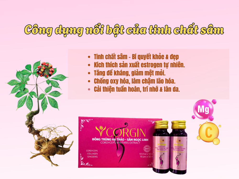 2. Tinh chất sâm – “trợ thủ” cân bằng nội tiết tố nữ