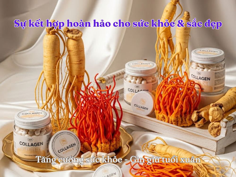 I. Giới thiệu