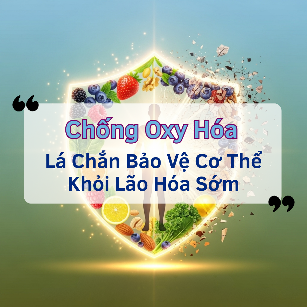 Chống Oxy Hóa – Lá Chắn Bảo Vệ Cơ Thể Khỏi Lão Hóa Sớm