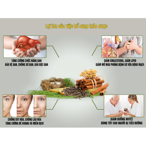 II. Lợi ích của việc bổ sung thảo dược