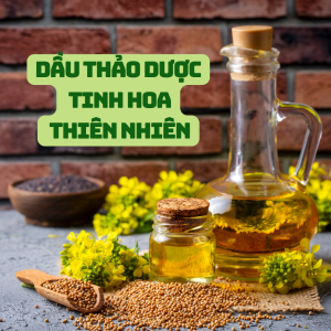 Dầu Thảo Dược Là Gì? Lợi Ích Của Dầu Thảo Dược