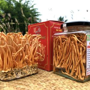 Đông Trùng Hạ Thảo Người Huyết Áp Cao Dùng Được Không? Cách Dùng Hiệu Quả Nhất