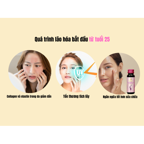 2. Tại sao nên chống lão hóa từ sớm?