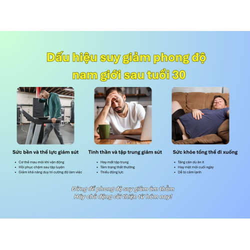 II. Dấu hiệu và nguyên nhân của sự suy giảm phong độ