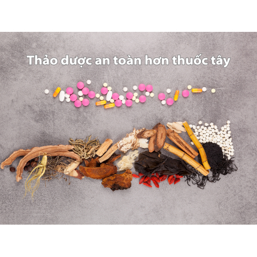 I. Giới thiệu