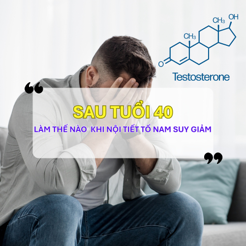 Làm Gì Khi Nội Tiết Tố Nam Suy Giảm Sau Tuổi 40?