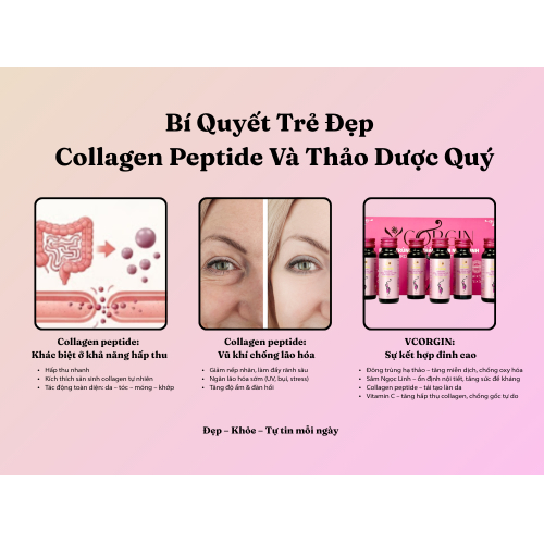 II. Bí Quyết Trẻ Đẹp Từ Collagen Peptide và Thảo Dược Thiên Nhiên