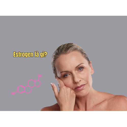 1. Estrogen là gì và vai trò đối với phụ nữ
