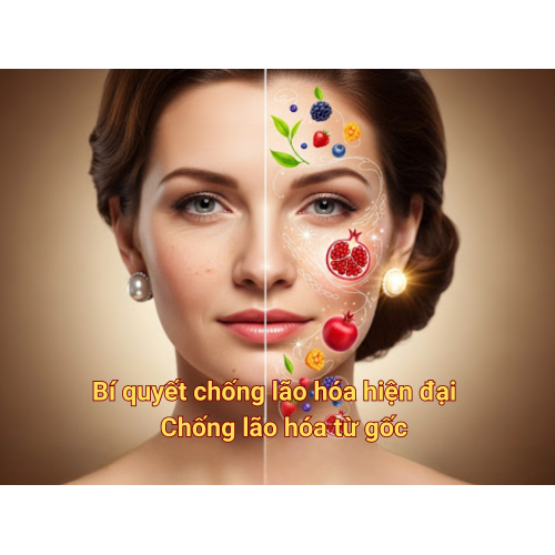 I. Giới thiệu
