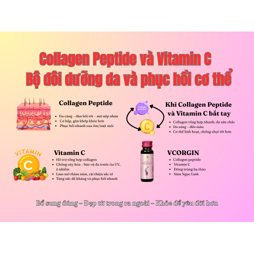 II. Collagen Peptide và Vitamin C – Bộ đôi dưỡng da và phục hồi cơ thể