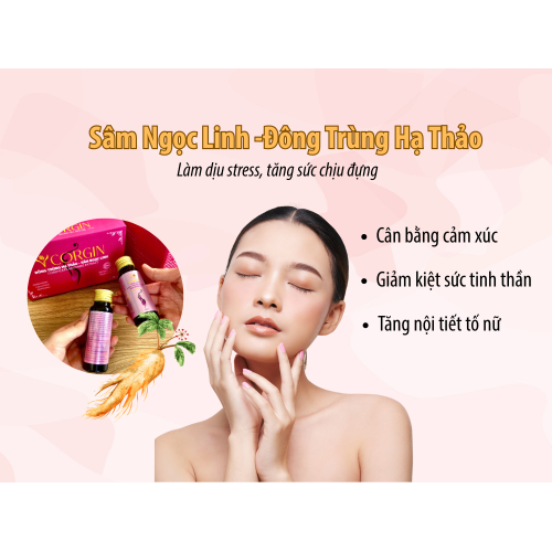 4. Kết luận