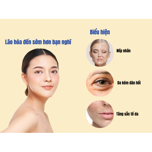 1. Lão hóa đến sớm hơn bạn nghĩ
