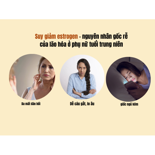 1. Vì sao phụ nữ tuổi trung niên cần bổ sung nội tiết tố?