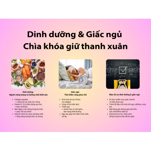 II. Dinh dưỡng và giấc ngủ – Bí quyết vàng cho sức khỏe và vẻ đẹp bền lâu
