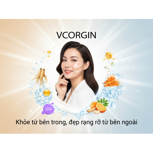 III. Kết luận