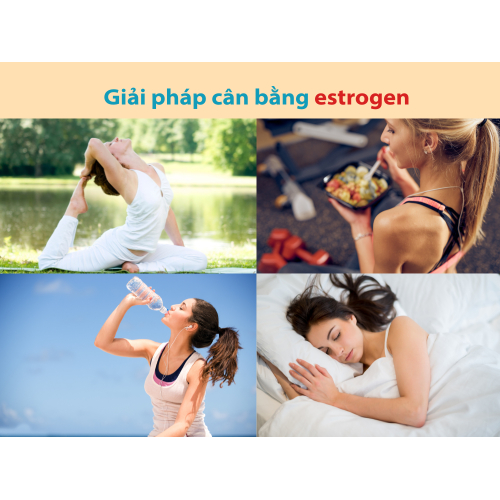 4. Giải pháp cân bằng estrogen, giảm lo âu