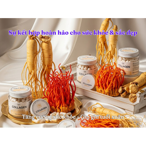 I. Giới thiệu