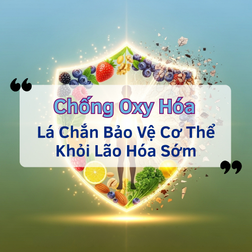 Chống Oxy Hóa – Lá Chắn Bảo Vệ Cơ Thể Khỏi Lão Hóa Sớm