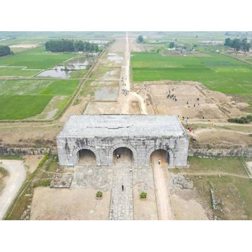 Quá trình khai quật và bảo tồn